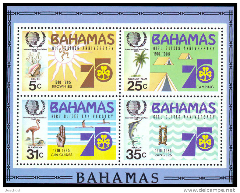 Bahamas, 1985, International Youth Year, United Nations, MNH, Michel Block 45 - Bahamas (1973-...)