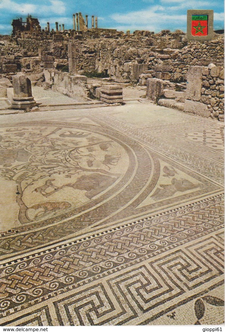 Volubilis - Mosaico De La Maison D'Orphèe - Altri & Non Classificati