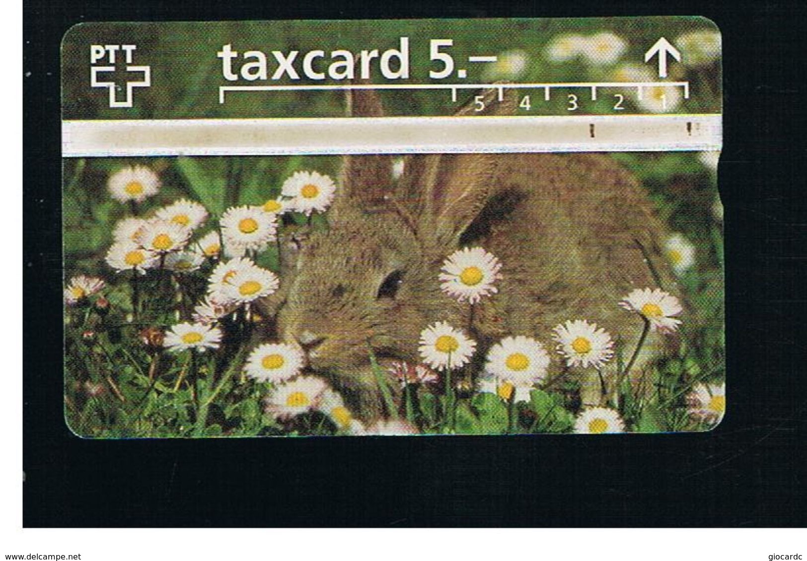 SVIZZERA (SWITZERLAND) - 1996   RABBIT  - USED - RIF. 10054 - Conigli