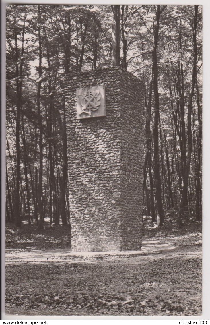 CARTE PHOTO : MONUMENT EN MEMOIRE DE L'O.R.A. ET DES FORESTIERS DE MORTEMER - LYONS LA FORET - CROIX VAUBOIS - 2 SCANS - - Lyons-la-Forêt