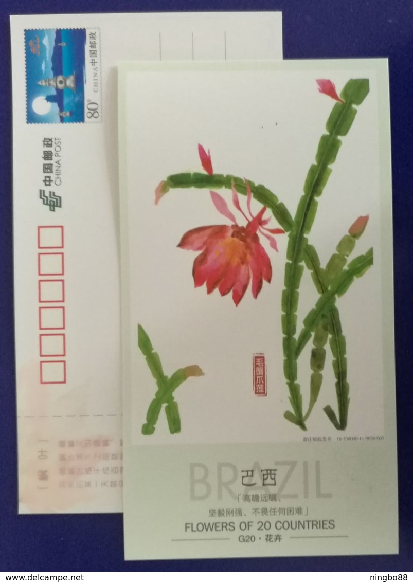 Brazil National Flower,Chrystmascactus,flowers Of 20 Countries,China 2006 G20 Hangzhou Summit Advert Pre-stamped Card - Cactusses