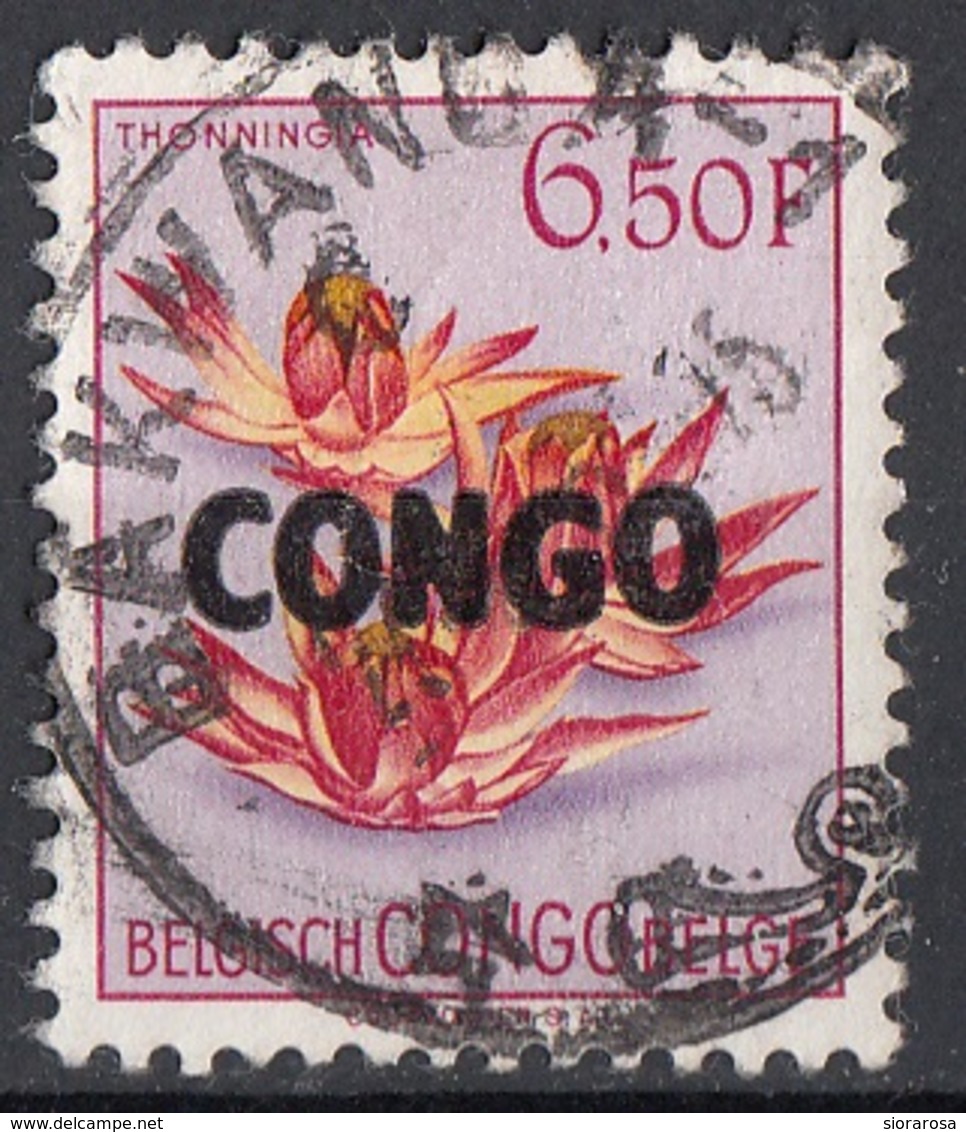 Congo 1960 Sc. 335 Fiori Flowers THONNINGIA Belge Belgisch Used - Altri & Non Classificati