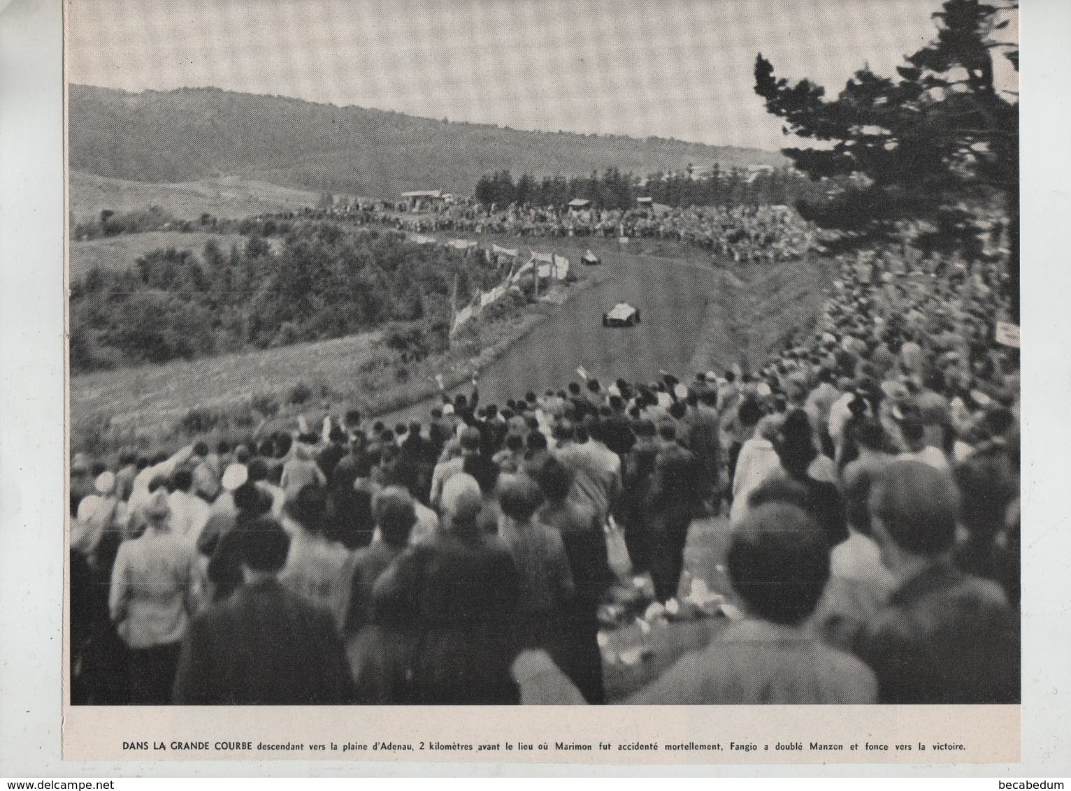 Courbe Adenau Fangio Manzon - Automobile - F1