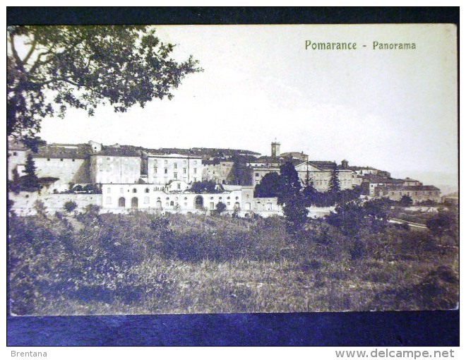 TOSCANA -PISA -POMARANCE -F.P. LOTTO N°394 - Pisa