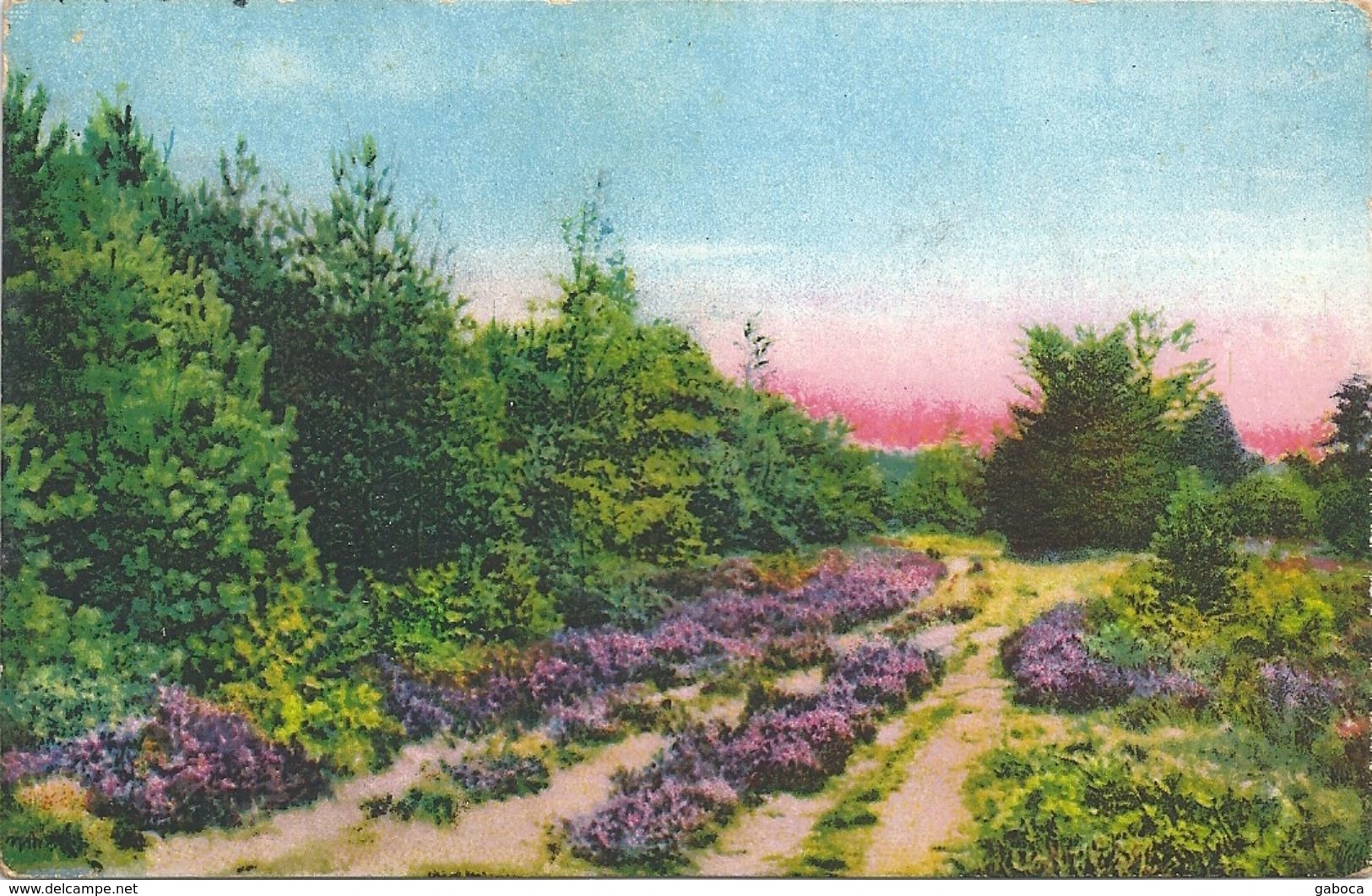 B0247 Germany Colour Postcard Landscape Flower Fauna Trees Plant - Bischofswerda