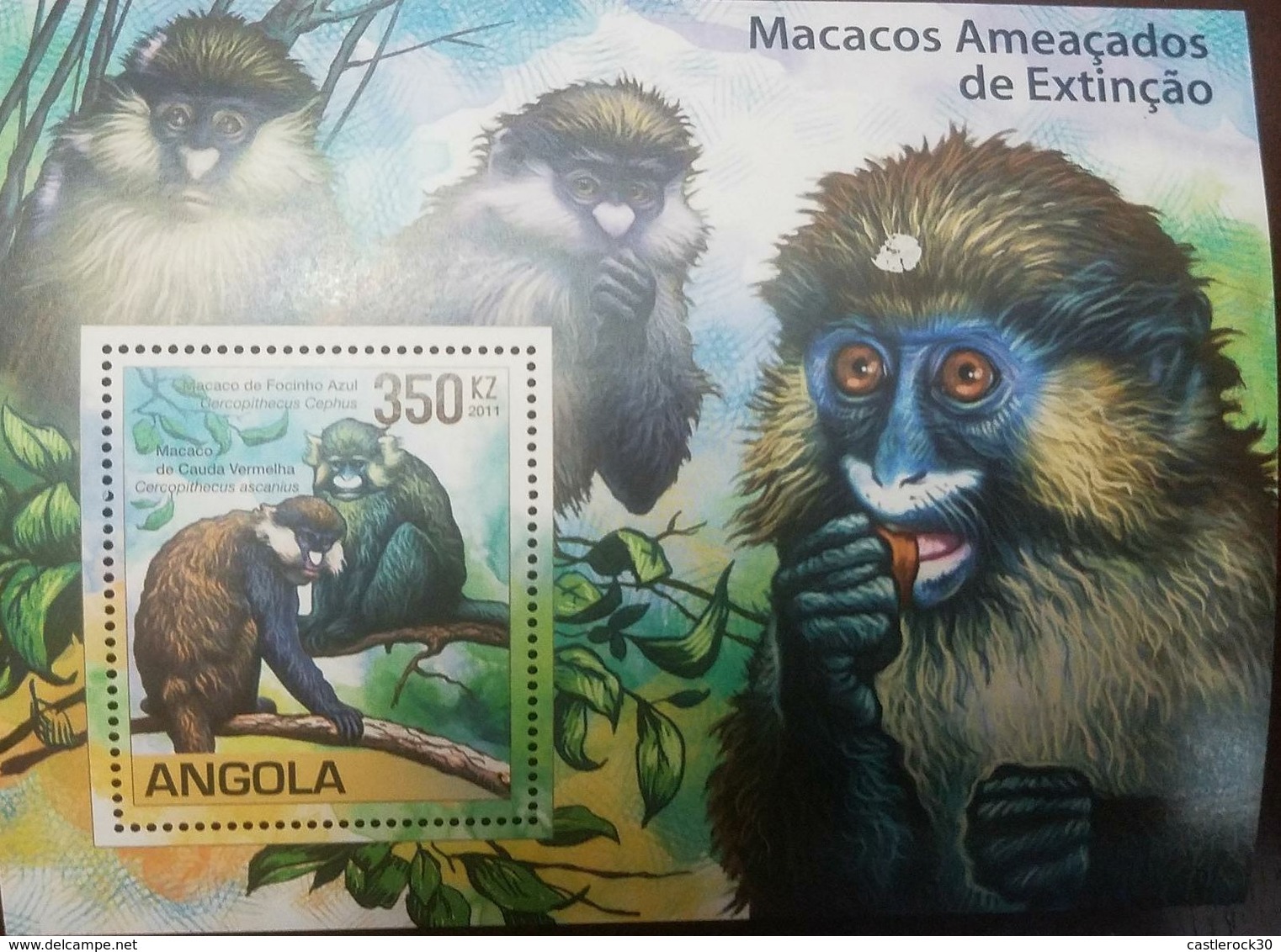 O) 2011 ANGOLA, ENDANGERED -DANGER OF EXTINCTION.  MONKEY - MACACOS - GERCOPITHECUS CEPHUS-CERCOPITHECUS ASCANIUS, SOUVE - Angola