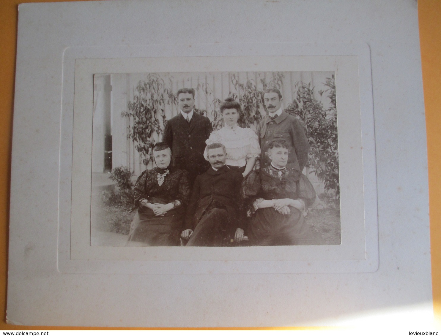 Photographie Montée Sur Carton Décoré/Groupe Familial  Dans Un Jardin /Vers 1890-1900    PHOTN339 - Anciennes (Av. 1900)