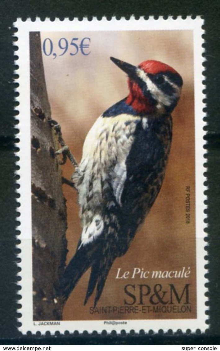 SAINT PIERRE   2018 .  Pic Maculé   Bird - Unused Stamps