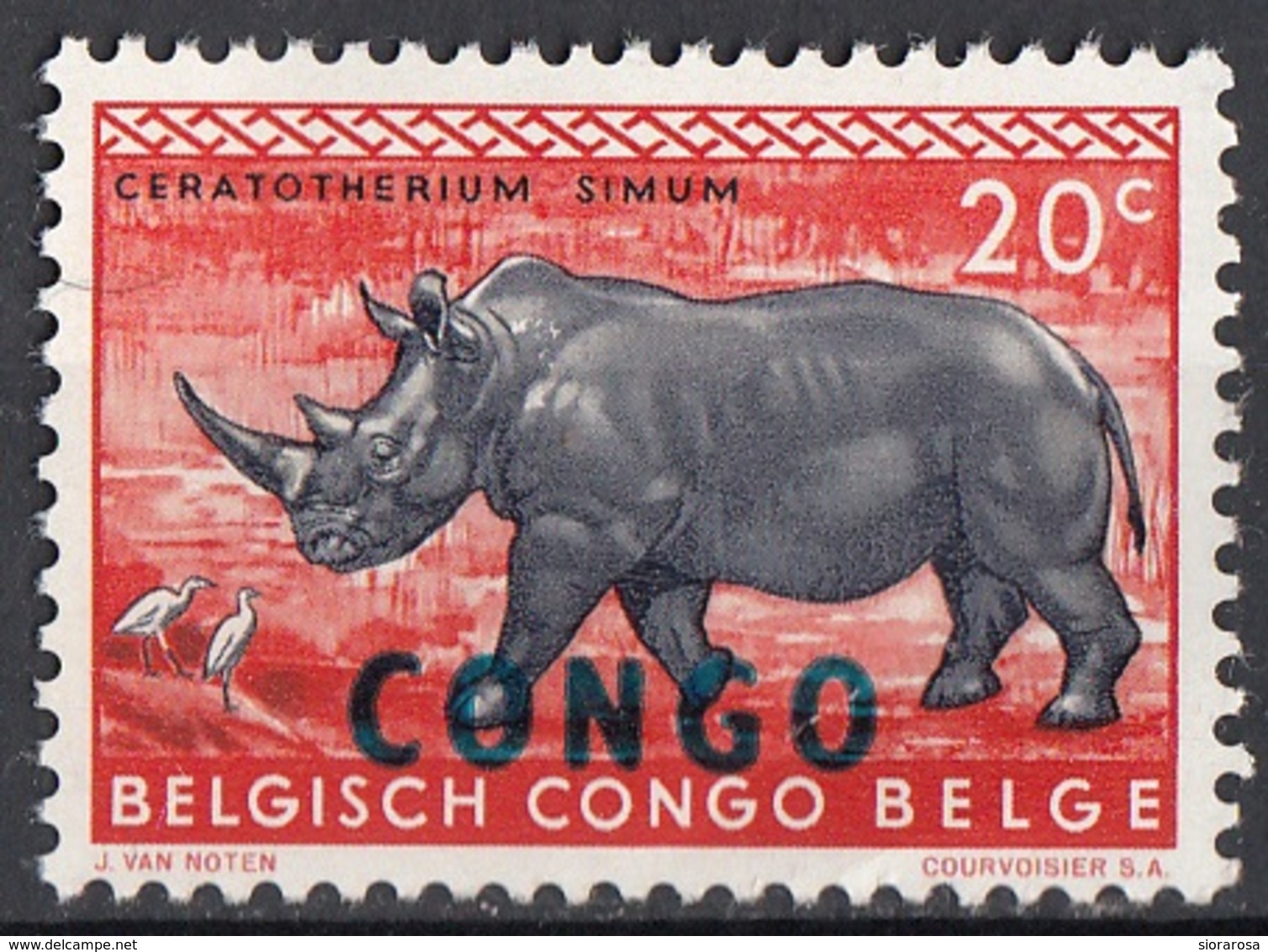 Congo 1960 Sc. 342 Rinoceronte Bianco Cerathoterium Simun Nuovo MNH Overprint - Altri & Non Classificati