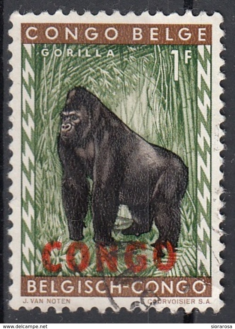 Congo 1960 Sc. 345 Gorilla Viaggiato Used Overprint - Gorilles