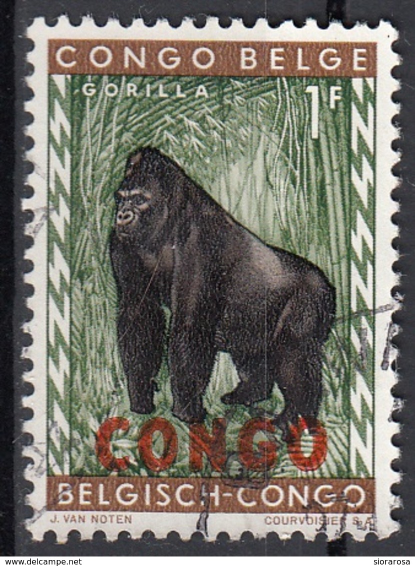 Congo 1960 Sc. 345 Gorilla Viaggiato Used Overprint - Altri & Non Classificati