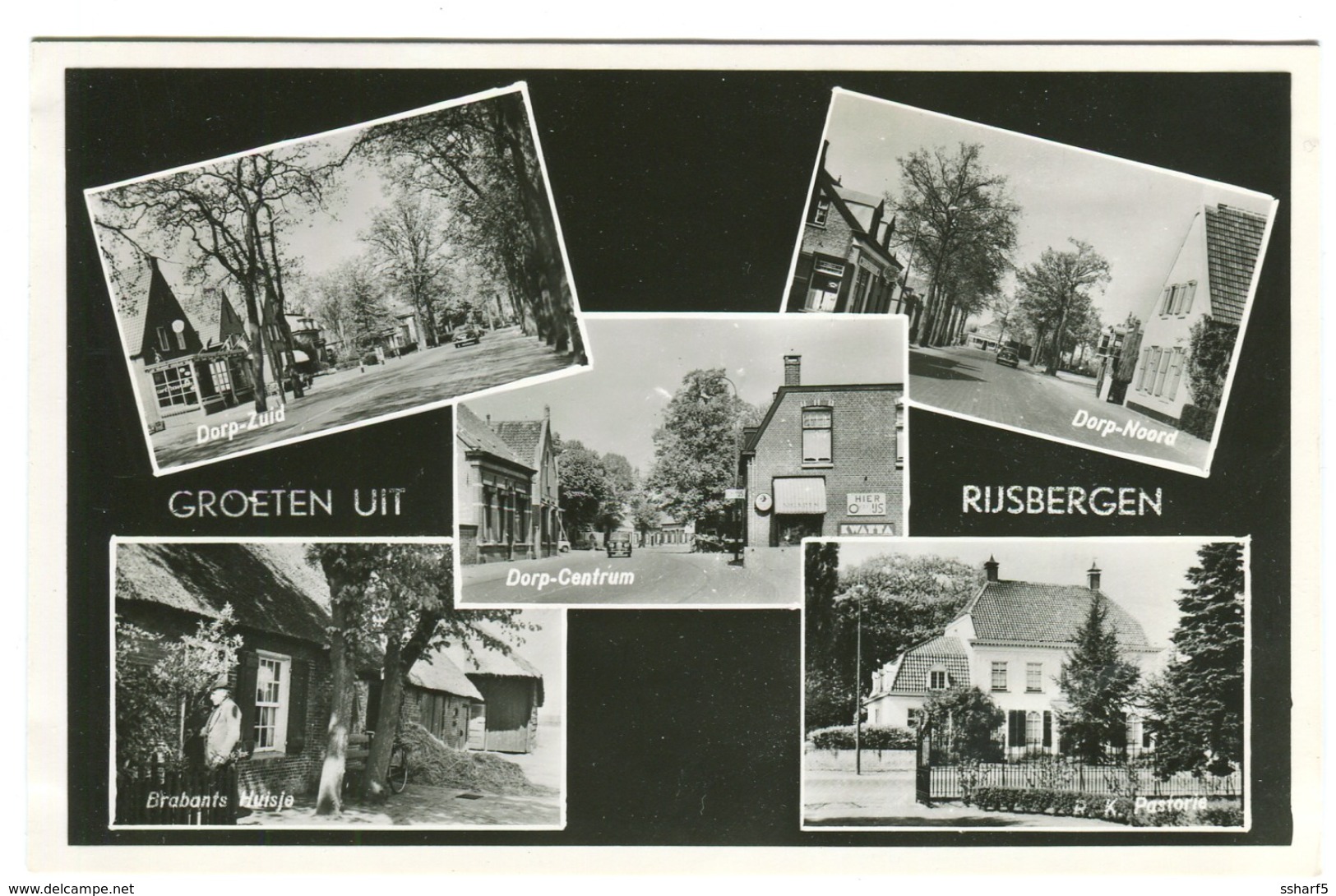 Groet Uit RIJSBERGEN  Real Photo Multiview C. 1955 - Autres & Non Classés