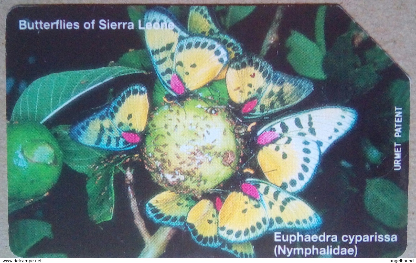 Butterflies 100 Units - Sierra Leone