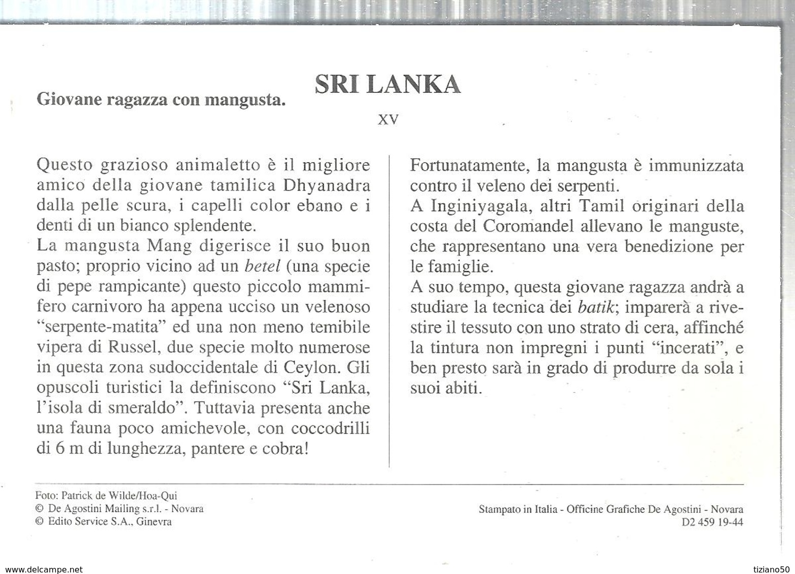 SRI LANKA.GIOVANE RAGAZZA CON MANGUSTA-IMMAGINI DAL MONDO.4318 - Asien