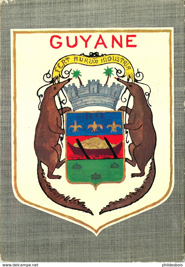 GUYANE FRANCAISE ECUSSON  GUYANE  ( Cpm) - Cayenne