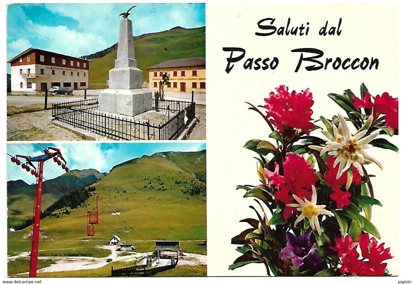 DIS849 - CASTELLO TESINO - PASSO BROCON - TRENTINO -  F.G. VIAGGIATA 1989 - Altri & Non Classificati