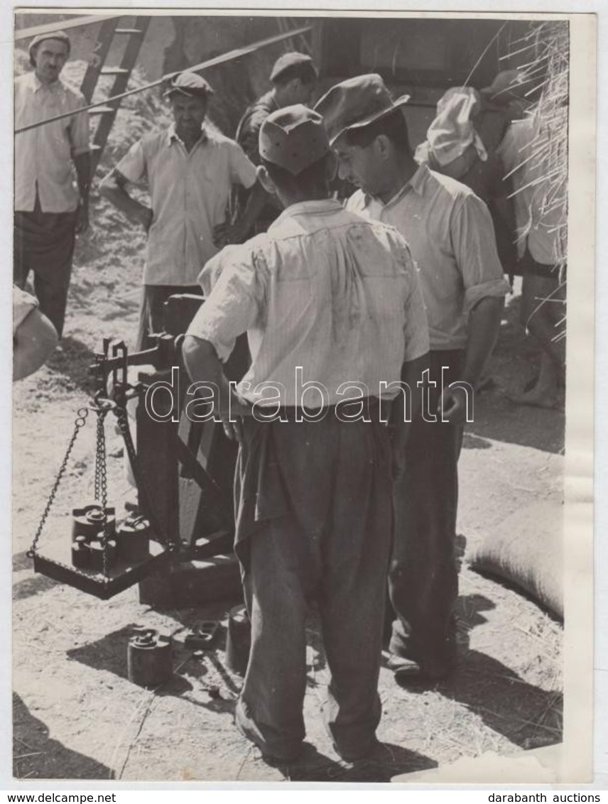 Cca 1950 Koermendy Imre: Vasarban. Foto, Jelzes Nelkuel. 24x17cm - Otros & Sin Clasificación