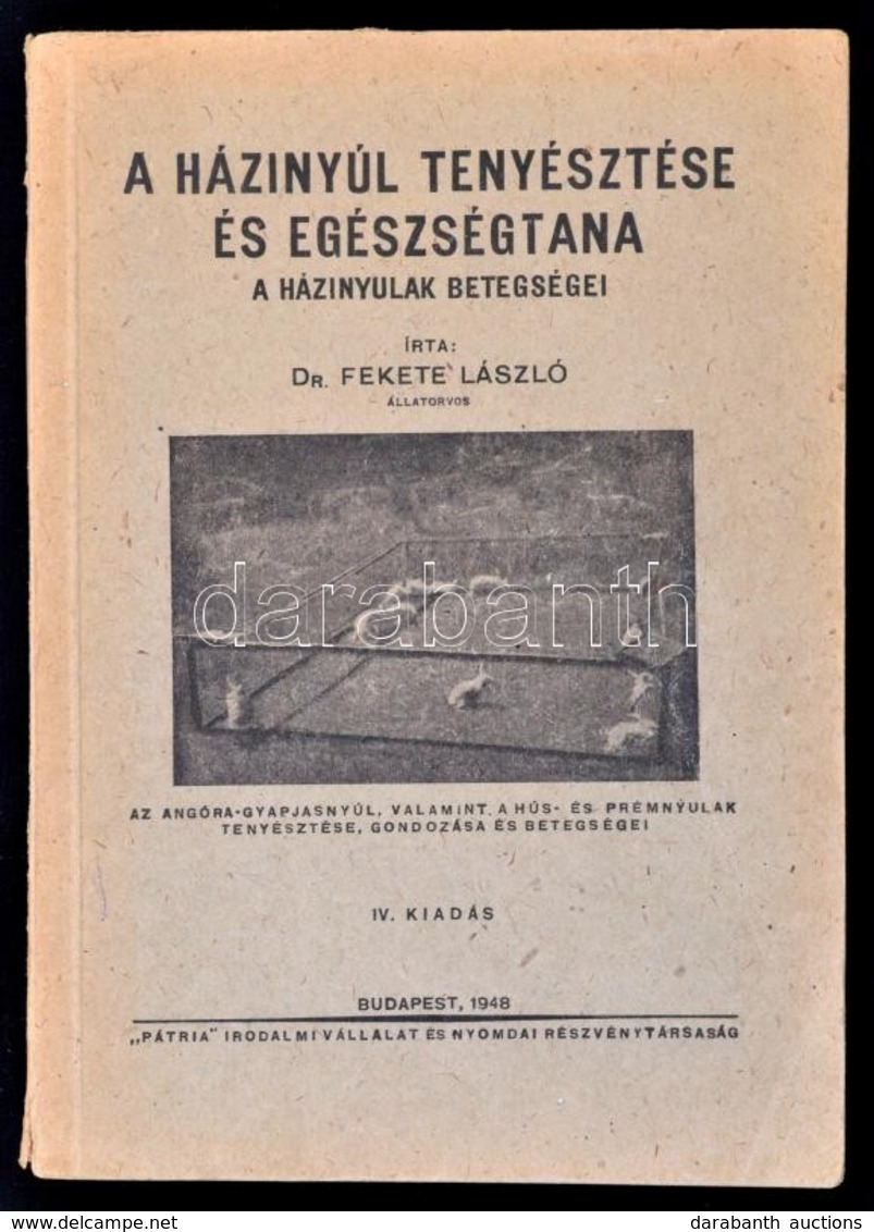 Dr. Fekete Laszlo: A Hazinyultenyesztes Egeszsegtana. A Hazinyulak Betegsegei. Az Angora-gyapjasnyul, Valamint A Hus- Es - Unclassified