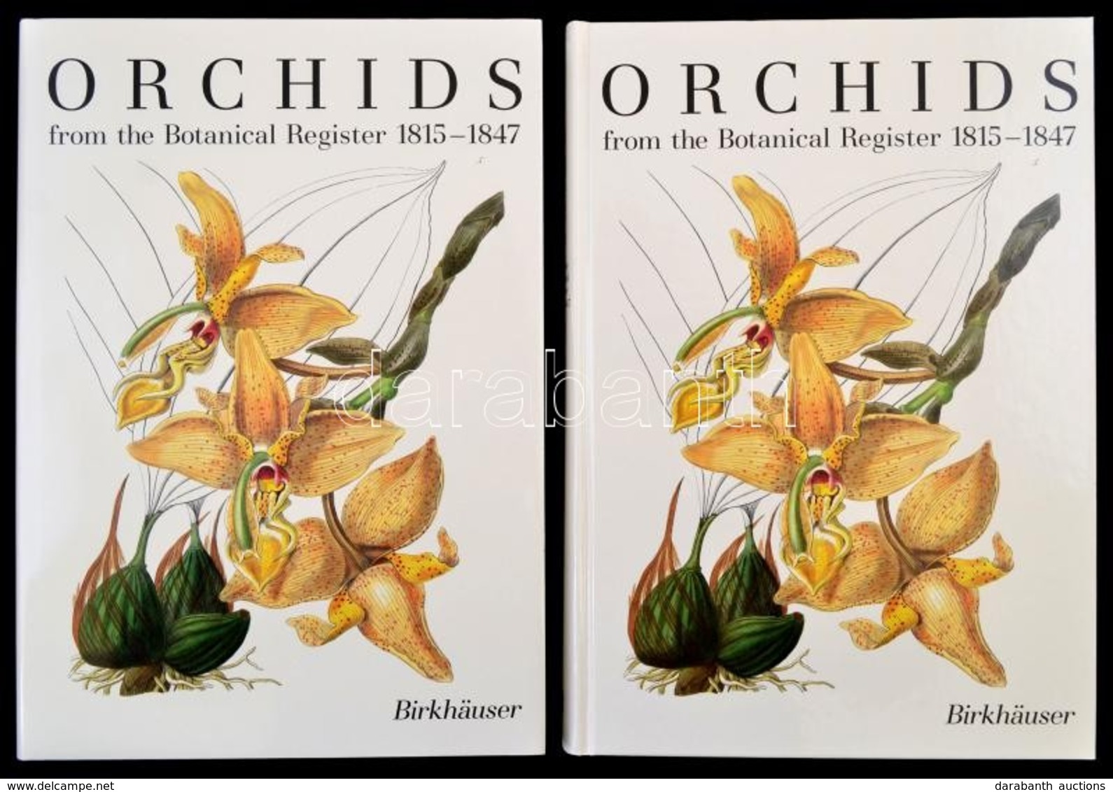 Orchids From The Botanical Register 1815-1847. I-II. Koetet. I. Koetet. The Text. II. Koetet. The Illustrations. Basel-B - Unclassified