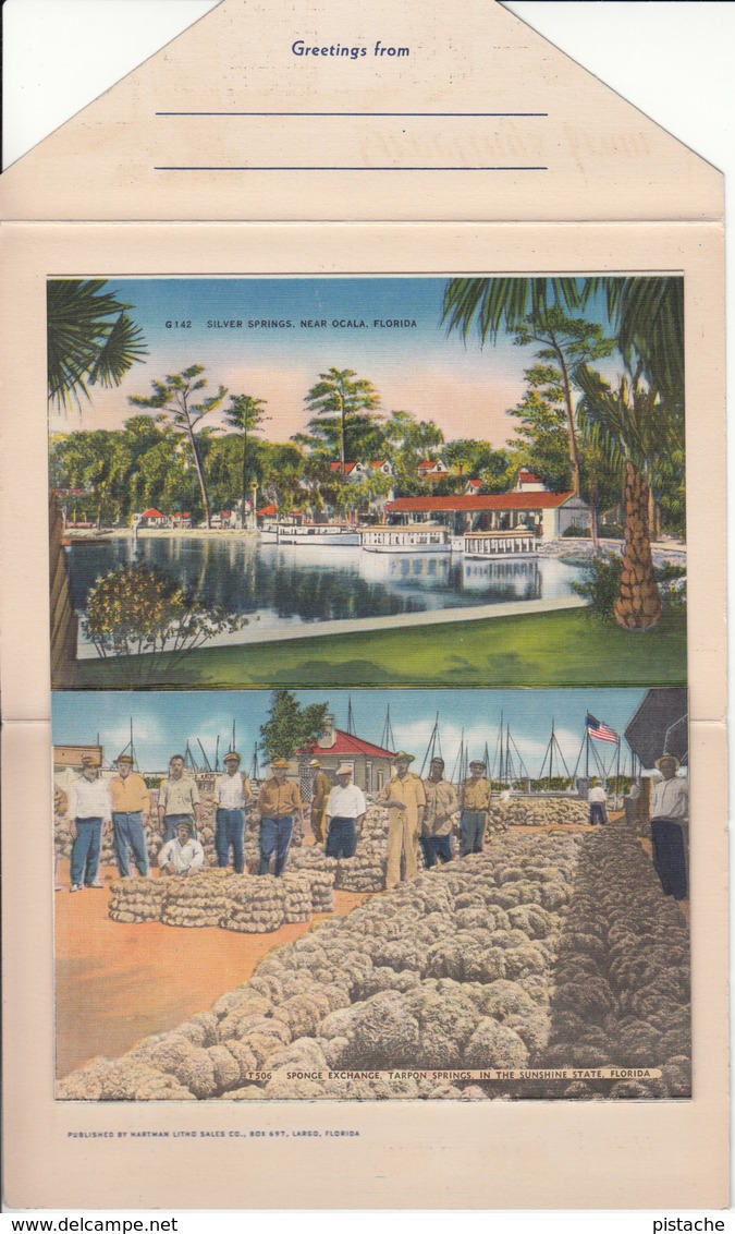 Old Souvenir Folder - Florida - Greetings From Sunny South - 18 Views - Almost Mint Condition - Unused - 4 Scans - Other & Unclassified