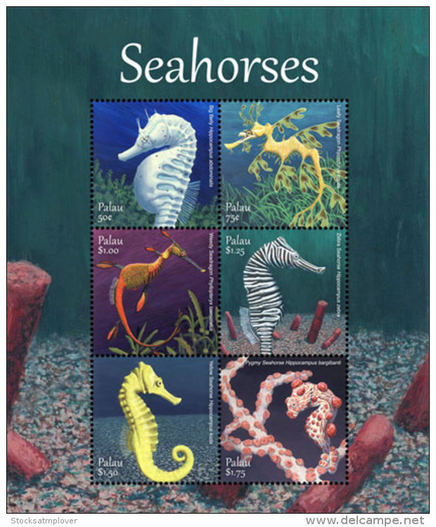 Palau 2018 Fish Marine Life Seahorses  I201803 - Palau