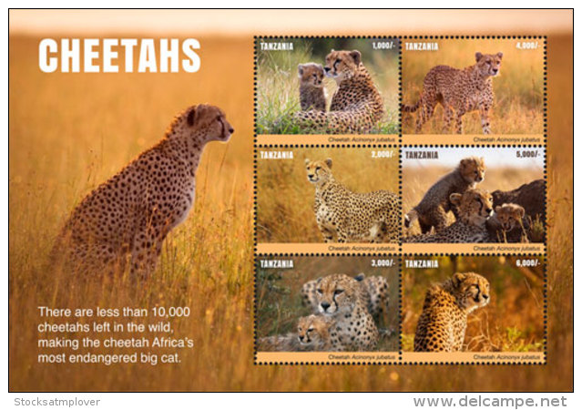 Tanzania 2017 Fauna Animals CHEETAHS  I201803 - Tanzania (1964-...)