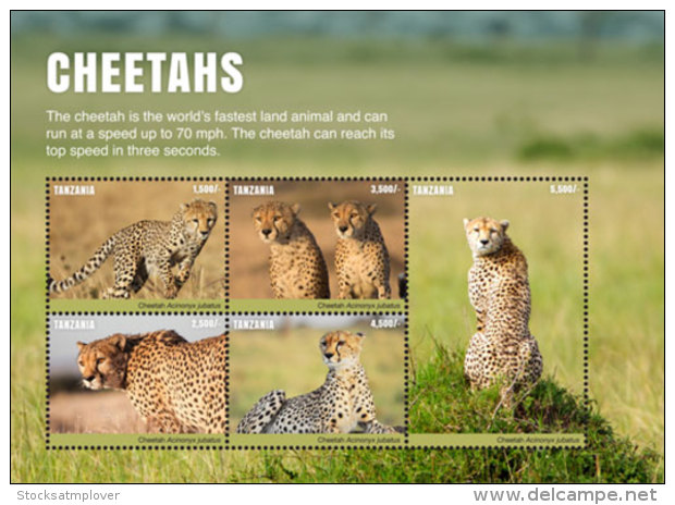 Tanzania 2017 Fauna Animals CHEETAHS  I201803 - Tanzania (1964-...)