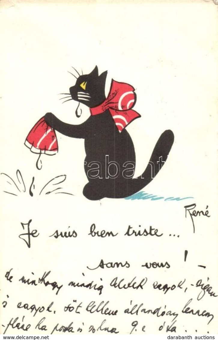 T2/T3 Crying Cat. French Art Postcard. S: Rene (EK) - Unclassified