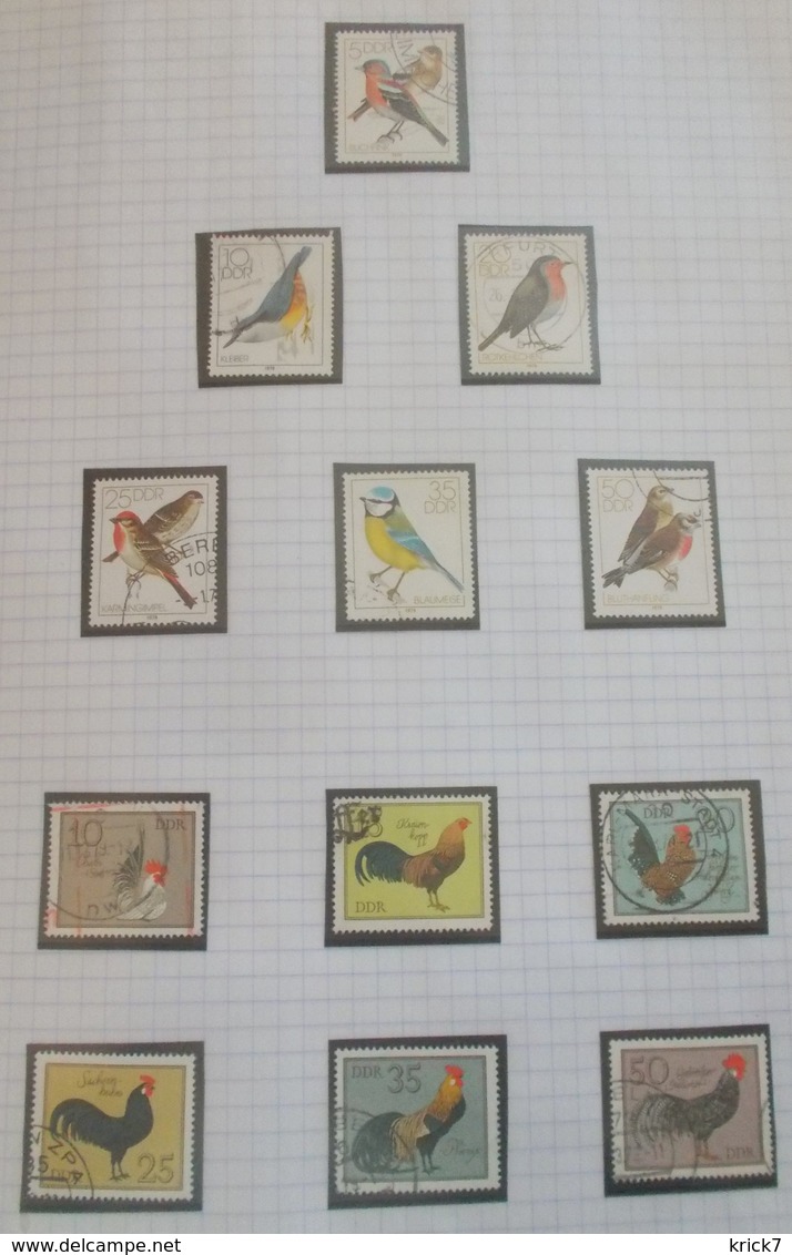 Thématique "Oiseaux" Timbres Obl. De La D.D.R. ( 6 Scans ) - Collections, Lots & Series