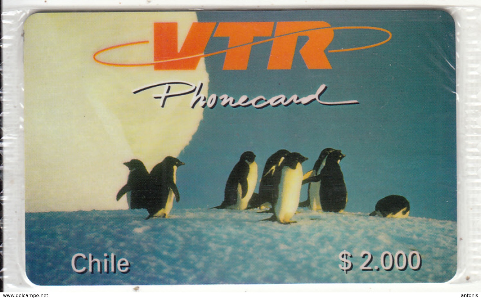 CHILE - Pinguins, VTR Prepaid Card $2000, Tirage 1000, Mint - Chile