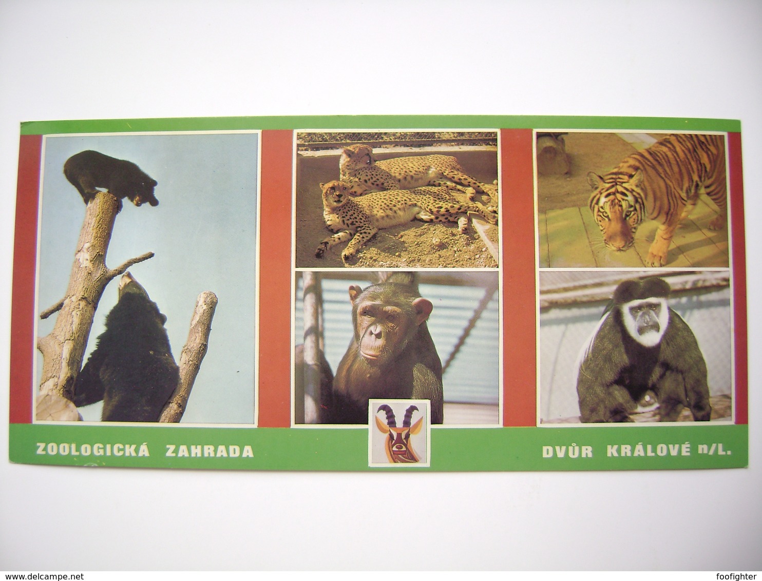 Czechoslovakia: ZOO DVUR KRALOVE NAD LABEM Himalayan Bear, Cheetah, Siberian Tiger, Chimpanzee, Guereza, Unused 1960s - Sonstige & Ohne Zuordnung