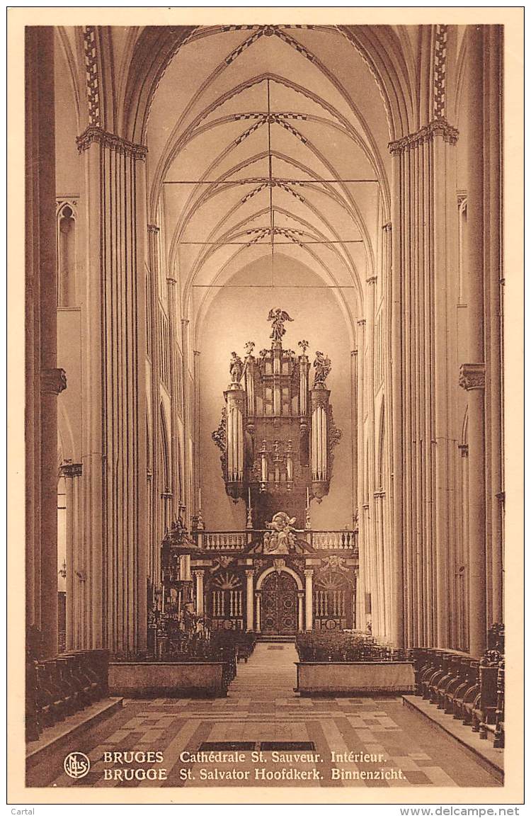 BRUGGE - St. Salvator Hoofdkerk.  Binnenzicht - Brugge