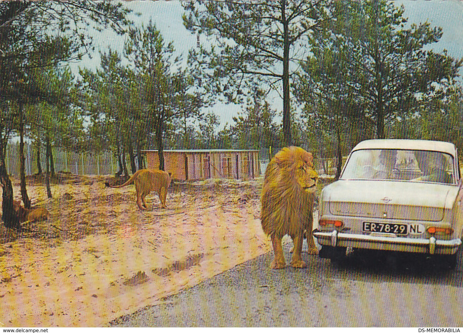 Tilburg Hilvarenbeek - Safari Leuwenpark , Lion Park , Opel Kadett A Coupe 1969 - Tilburg