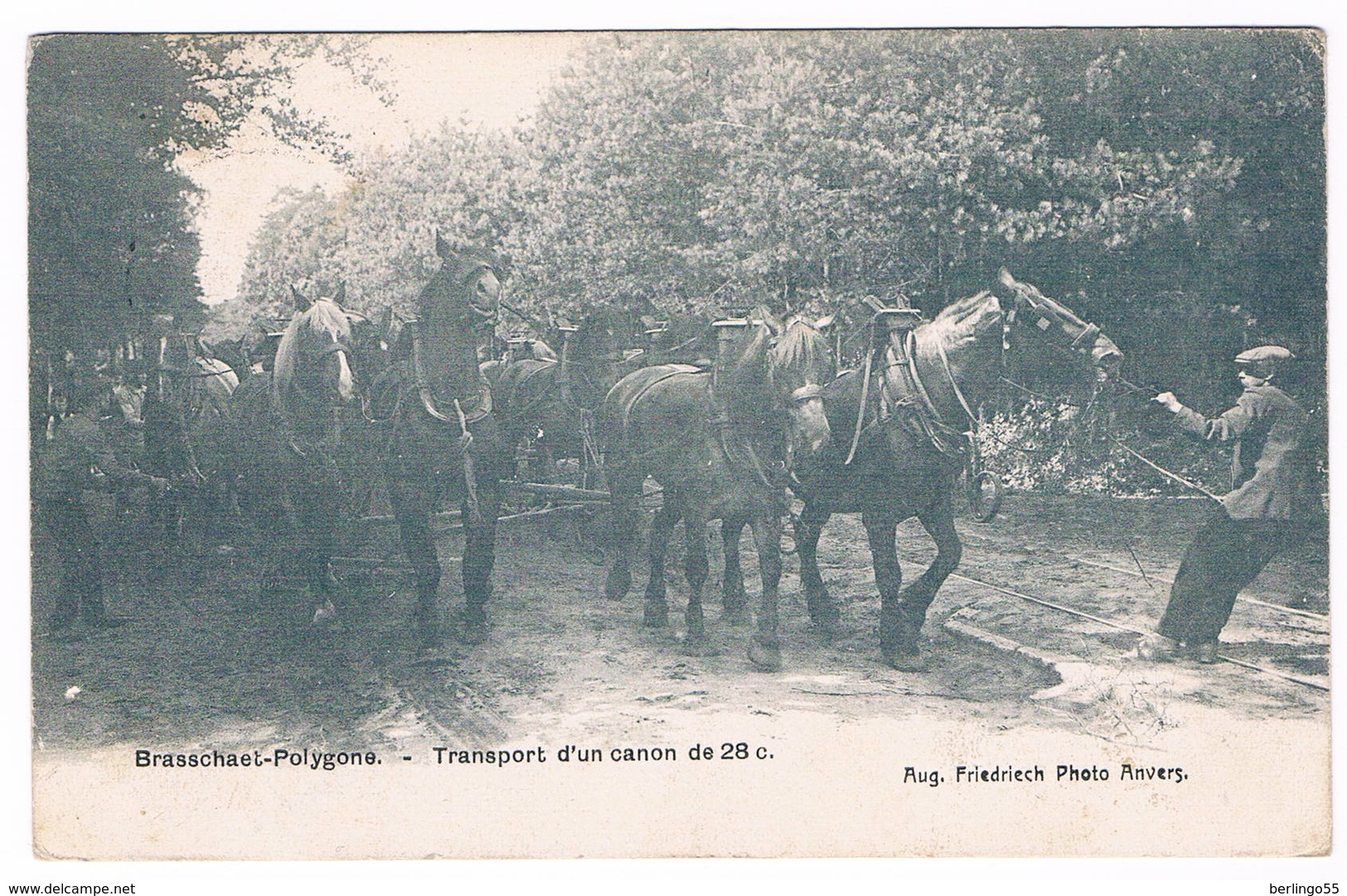 Brasschaet-Polygone - Transport D'un Canon De 28 C.  1912 (Geanimeerd) - Brasschaat