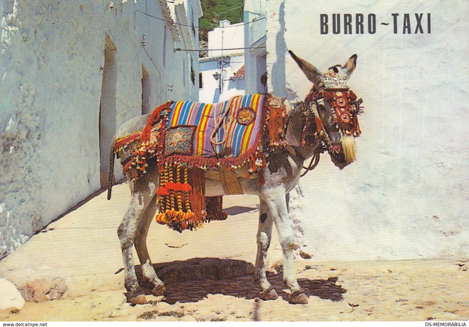 Costa Del Sol - Burro Donkey Taxi - Jaén