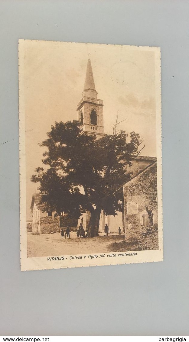 CARTOLINA VIDULIS - CHIESA E TIGLIO PIU' VOLTE CENTENARIO - Udine