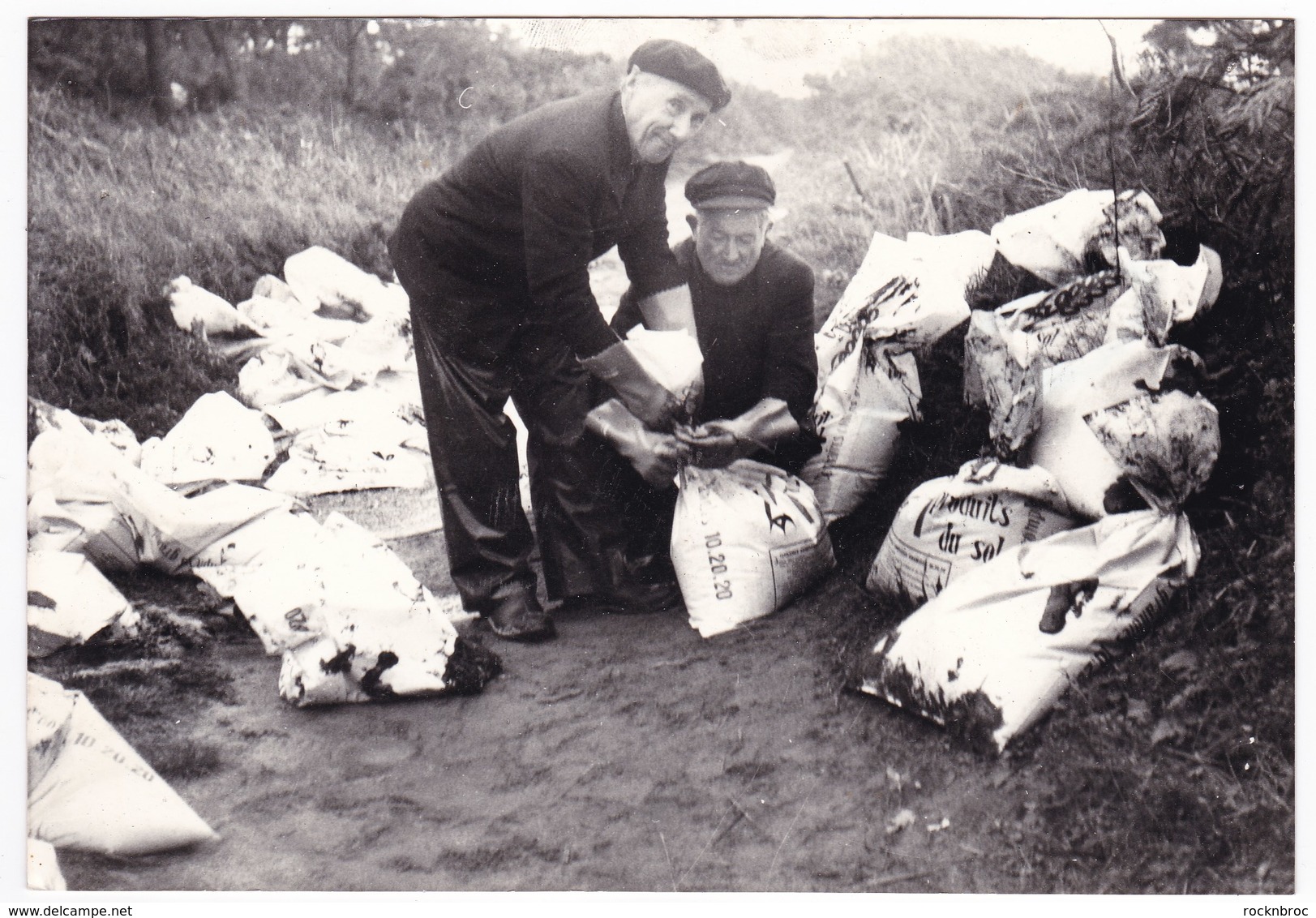 Ancienne Photo Marée Noire Mazout Boehlen Böhlen Octobre 1976 Bretagne Finistère Ile De Sein ? - Personnes Anonymes