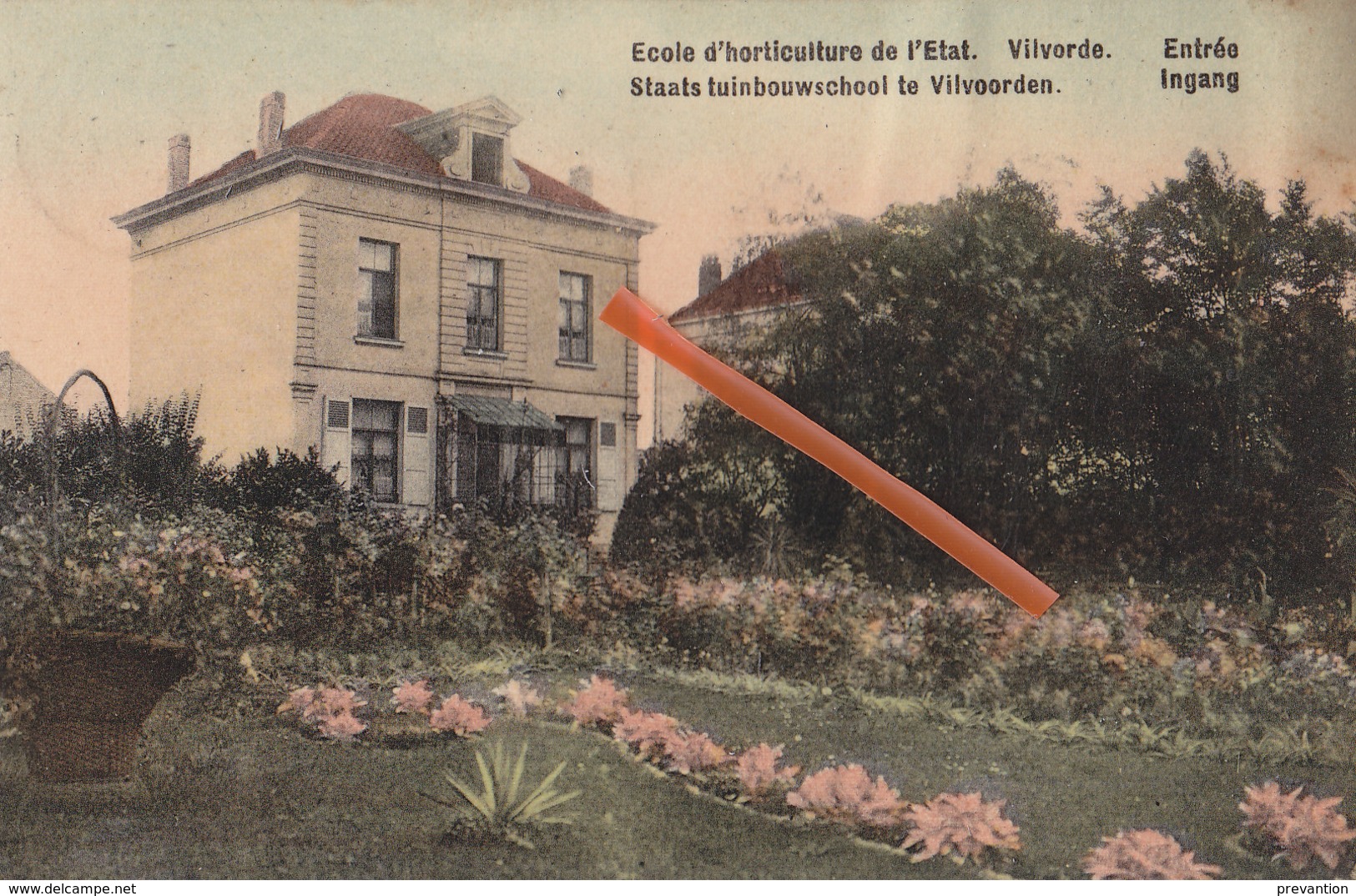 Ecole D'Horticulture De L'Etat -VIVORDE - Staats Tuinbouwschool Te VILVOORDEN - Entrée - Ingang - Carte Colorée, 1910 - Vilvoorde