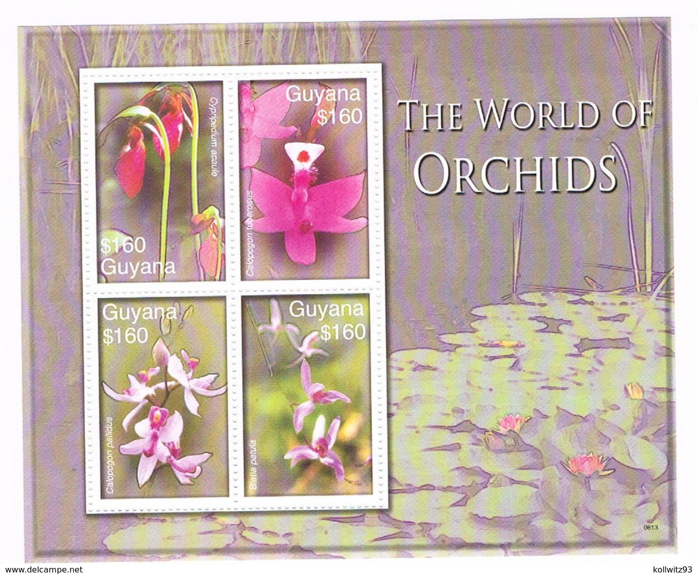 Orchideen Block Guyana (The World Of Orchids) - Sonstige & Ohne Zuordnung