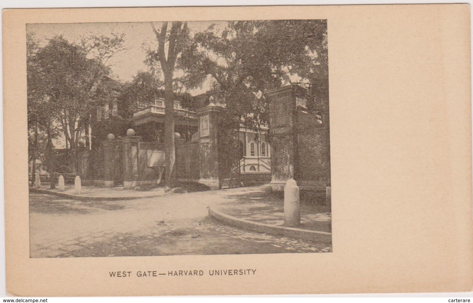 Cpa,harward University,université Americaine à Cambridge,fondée En 1636,40 Prix Nobel,rare,états Unis D'amérique - Autres & Non Classés