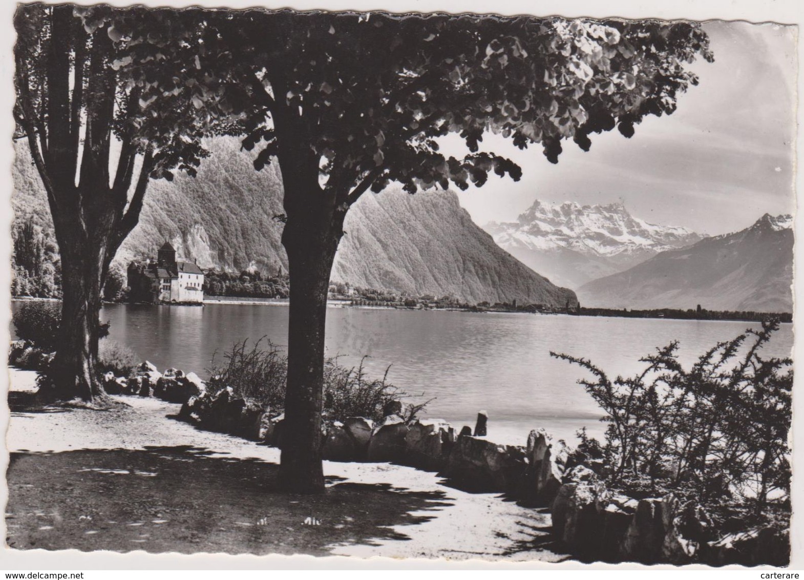 Carte Photo,SUISSE,SWISS, HELVETIA,SCHWEIZ,SVIZZERA ,MONTREUX ,VAUD,RIVIERA PAYS D'ENHAUT,chateau Chillon,lac Léman - Montreux