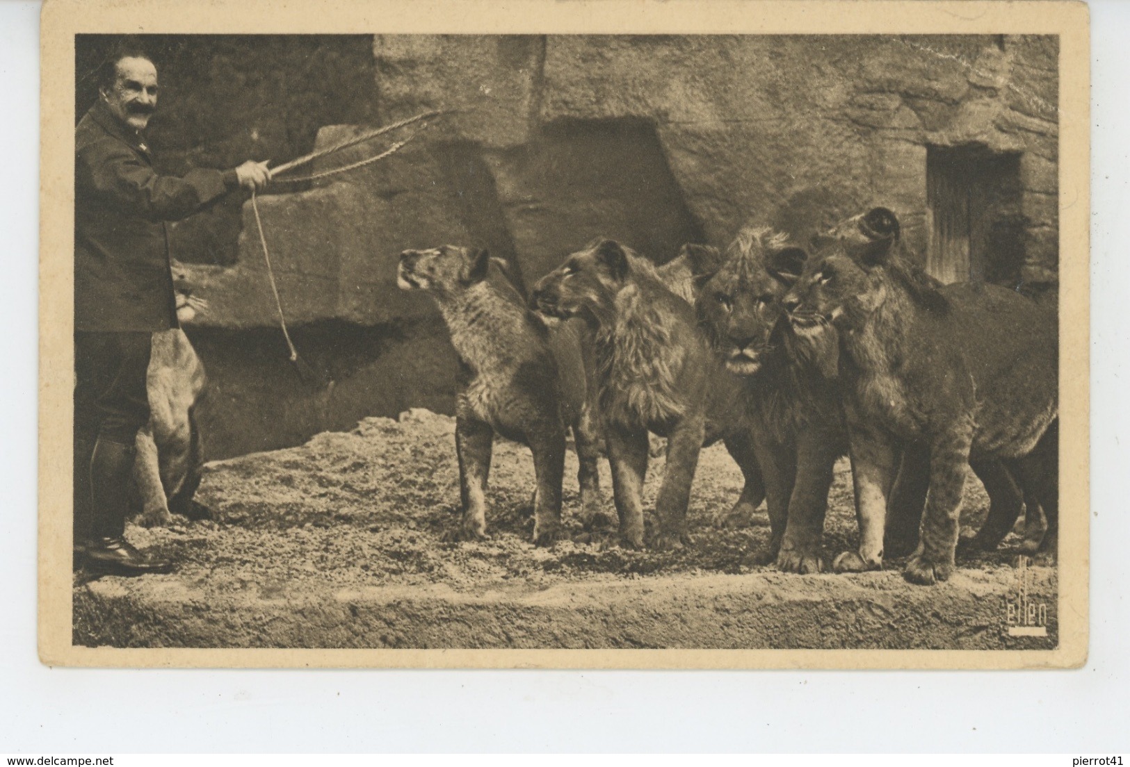 LIONS - PARIS - PARC ZOOLOGIQUE DU BOIS DE VINCENNES - Un Groupe De Lions Devant Leur Gardien (1933) - Lions