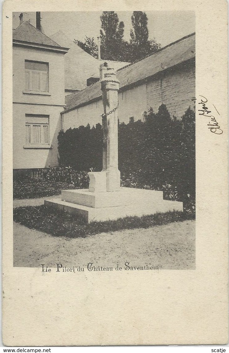 Saventhem     Le Pilori Du Château   -   1903 - Zaventem