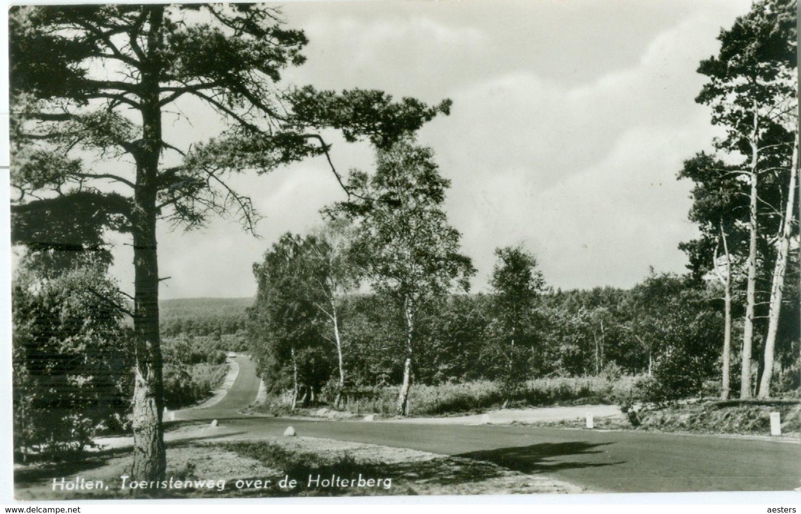 Holten 1965; Toeristenweg Over De Holterberg - Gelopen. (M. V.d. Maat - Holten) - Holten