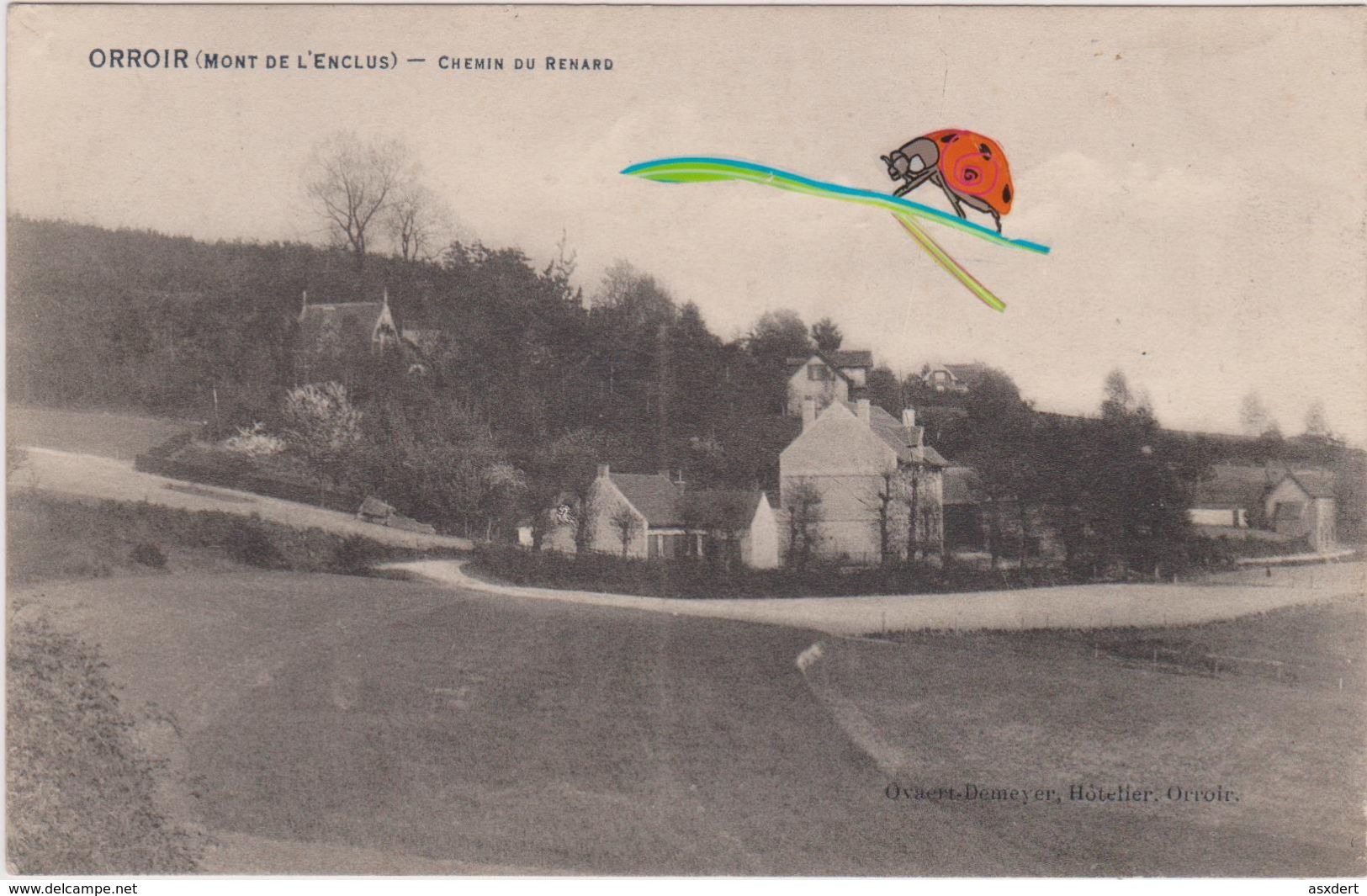 ORROIR Chemin Du Renard - 1914 - Mont-de-l'Enclus