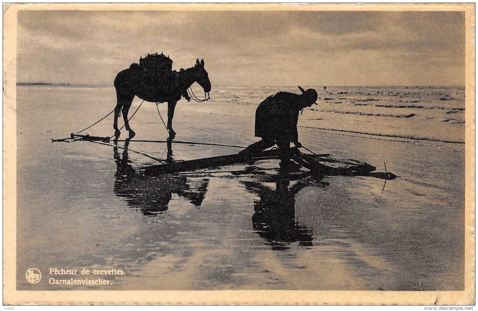 BLANKENBERGHE - Pêcheur De Crevettes - Blankenberge