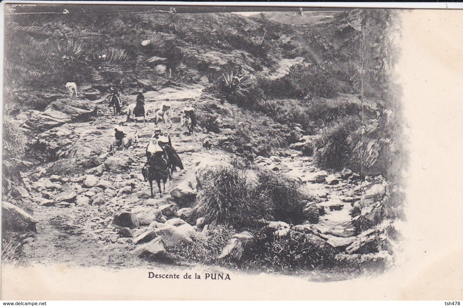 PEROU----descente De La PUNA---voir  2 Scans - Pérou