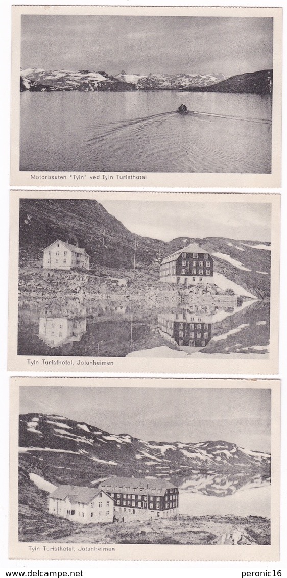 Lot De 9 Jolies CP Norvège, Tyin Turisthotel, Jotunheimen, Années 1920 - Norvegia