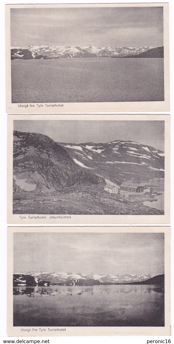 Lot De 9 Jolies CP Norvège, Tyin Turisthotel, Jotunheimen, Années 1920 - Norvegia