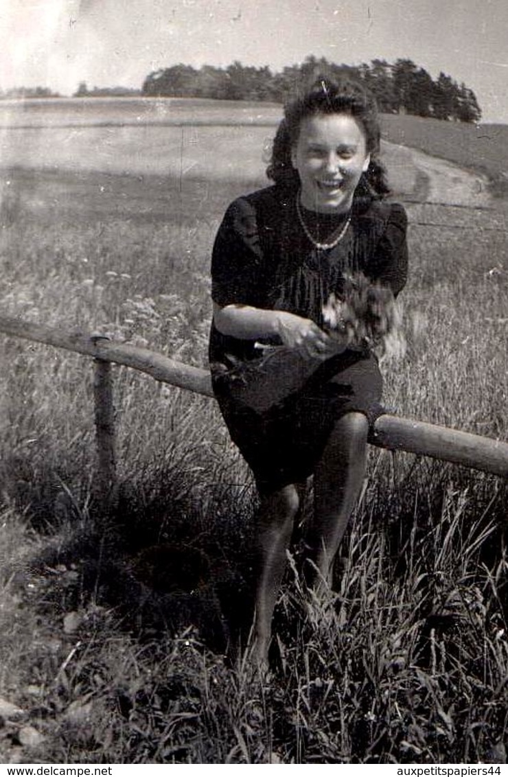 Photo Originale Pin-up Sexy & Rieuse Perchée Sur Une Barrière De Bois & Bouquet De Fleurs Des Champs Vers 1940 - Pin-up